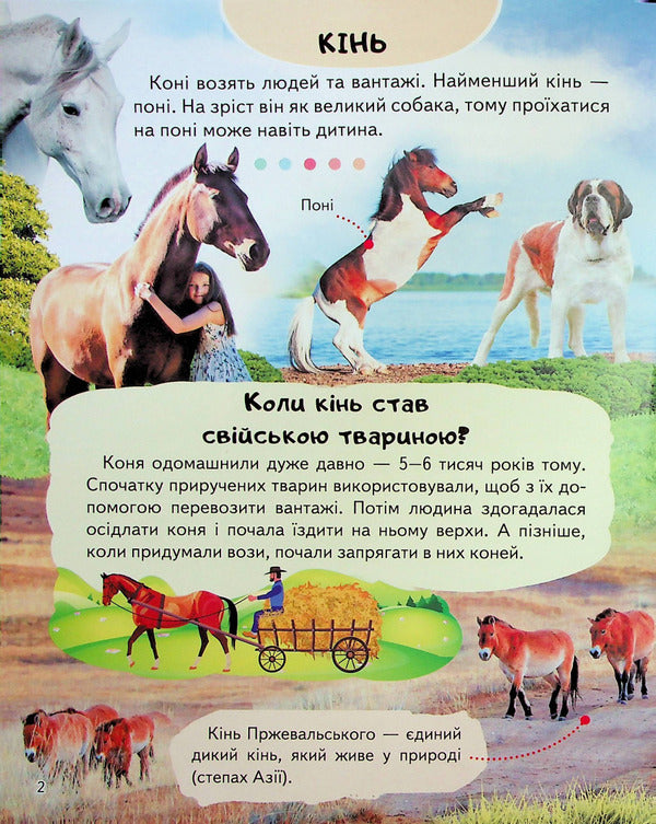 Encyclopaedia Fermat / Енциклопедія Ферма  9789664668184-3