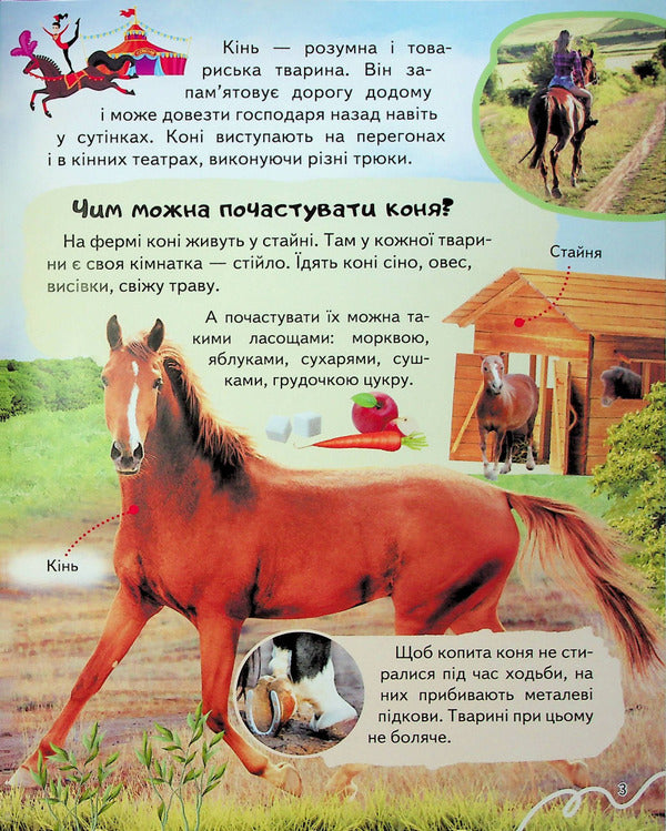 Encyclopaedia Fermat / Енциклопедія Ферма  9789664668184-4