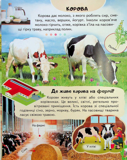 Encyclopaedia Fermat / Енциклопедія Ферма  9789664668184-5