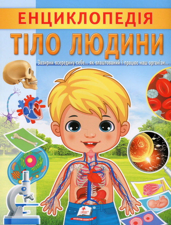 Encyclopedia. Human body / Енциклопедія. Тіло людини Анна Логвинкова 978-966-466-822-1-1