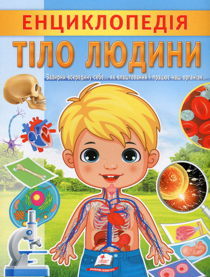 Encyclopedia. Human body / Енциклопедія. Тіло людини Анна Логвинкова 978-966-466-822-1-1
