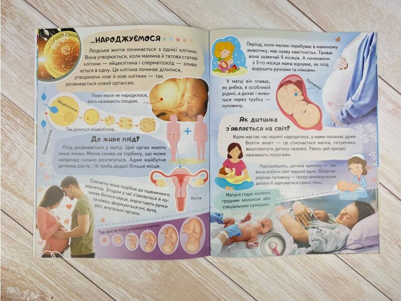 Encyclopedia. Human body / Енциклопедія. Тіло людини Анна Логвинкова 978-966-466-822-1-3