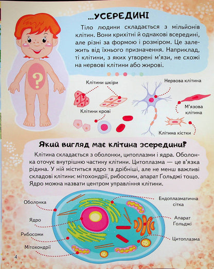 Encyclopedia. Human body / Енциклопедія. Тіло людини Анна Логвинкова 978-966-466-822-1-6