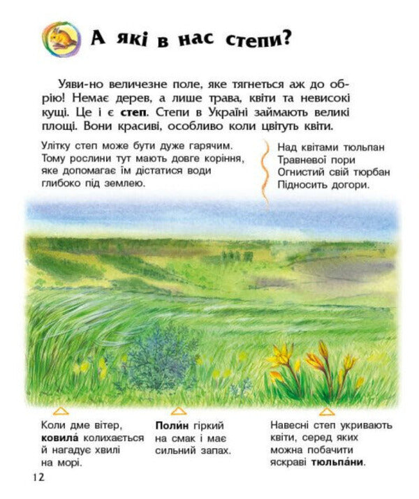 Encyclopedia Of A Preschooler. Ukraine / Енциклопедія дошкільника. Україна Yulia Kasparova / Юлія Каспарова 9786170999948-4