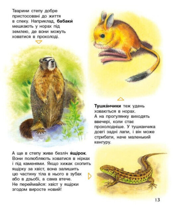Encyclopedia Of A Preschooler. Ukraine / Енциклопедія дошкільника. Україна Yulia Kasparova / Юлія Каспарова 9786170999948-5