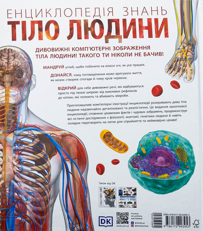 Encyclopedia Of Knowledge. Human Body / Енциклопедія знань. Тіло людини Peter Crisp, Steve Hoffman / Пітер Крісп і Стів Хоффман 9786170993953-2