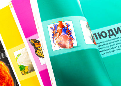 Encyclopedia Of Knowledge / Енциклопедія знань / Author not specified 9786170989451-4