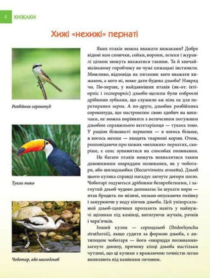 Encyclopedia for the curious. Predators / Енциклопедія для допитливих. Хижаки Андрей Гапченко 978-966-935-587-4-3