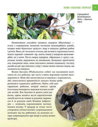 Encyclopedia for the curious. Predators / Енциклопедія для допитливих. Хижаки Андрей Гапченко 978-966-935-587-4-4