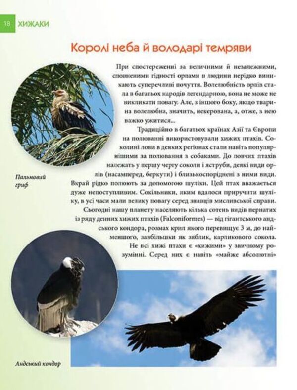 Encyclopedia for the curious. Predators / Енциклопедія для допитливих. Хижаки Андрей Гапченко 978-966-935-587-4-5