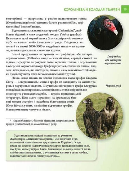 Encyclopedia for the curious. Predators / Енциклопедія для допитливих. Хижаки Андрей Гапченко 978-966-935-587-4-6