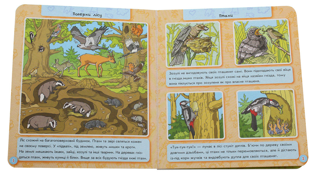 Encyclopedia in pictures. Animal world / Енциклопедія в картинках. Світ тварин  9789667494933-4