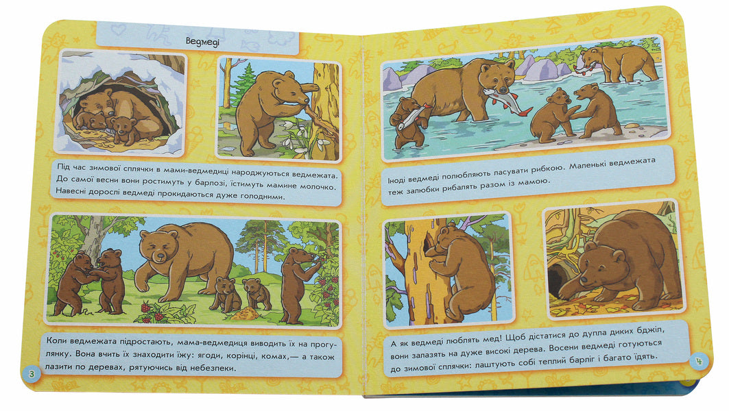 Encyclopedia in pictures. Animal world / Енциклопедія в картинках. Світ тварин  9789667494933-5