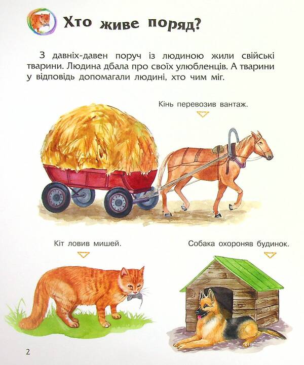 Encyclopedia of a preschooler. Domestic animals / Енциклопедія дошкільника. Свійські тварини  -5