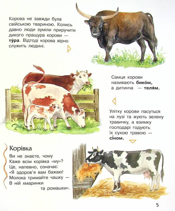 Encyclopedia of a preschooler. Domestic animals / Енциклопедія дошкільника. Свійські тварини  -6