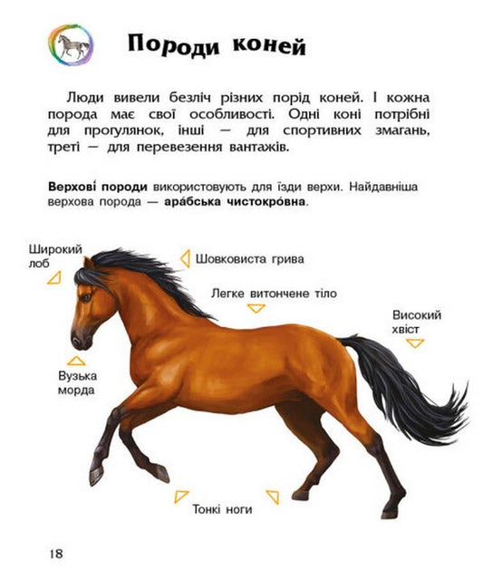 Encyclopedia of a preschooler. Horses / Енциклопедія дошкільника. Коні Юлия Каспарова 978-617-09-7781-6-2