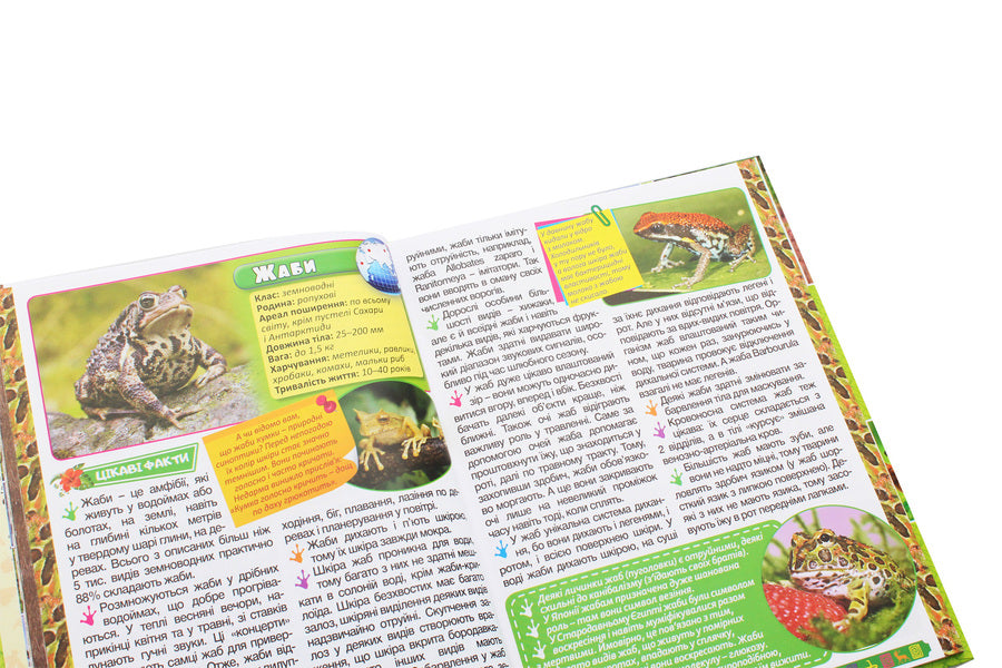 Encyclopedia of animals. Amazing facts (Green) / Енциклопедія про тварин. Дивовижні факти (Зелена) Юлия Карпенко 9786175368077-5
