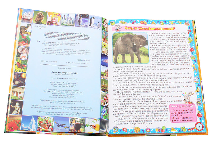 Encyclopedia of everything in the world (Yellow) / Енциклопедія про все на світі (Жовта) Юлия Карпенко 9786175367803-4