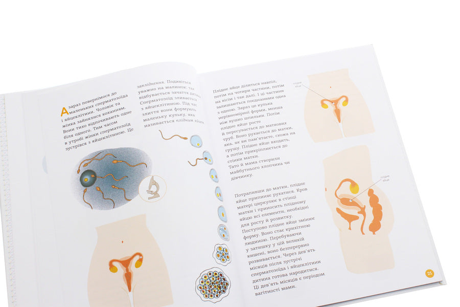 Encyclopedia of sexual life.7-9 years old / Енциклопедія статевого життя. 7-9 років Жан Коэн, Кристиан Верду, Жаклин Кан-Натан 978-617-00-3790-9-6