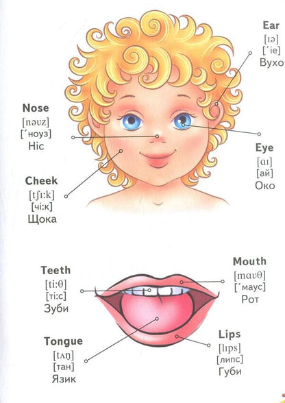 English.My first words / English. Мої перші слова  978-966-913-031-0-6