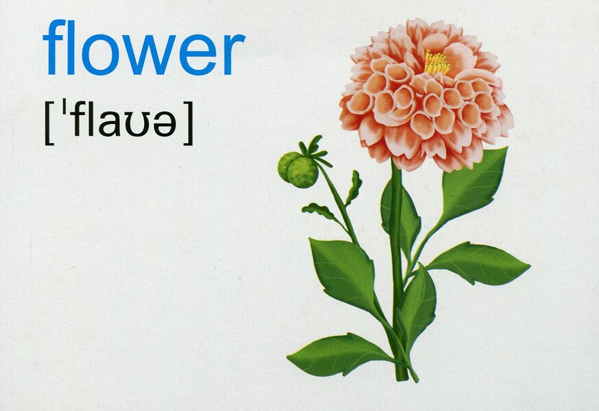 English. Flashcards. Nature / English. Flashcards. Nature  2255555502273-3