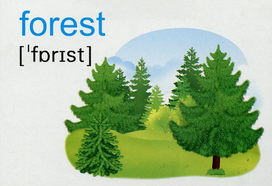 English. Flashcards. Nature / English. Flashcards. Nature  2255555502273-4