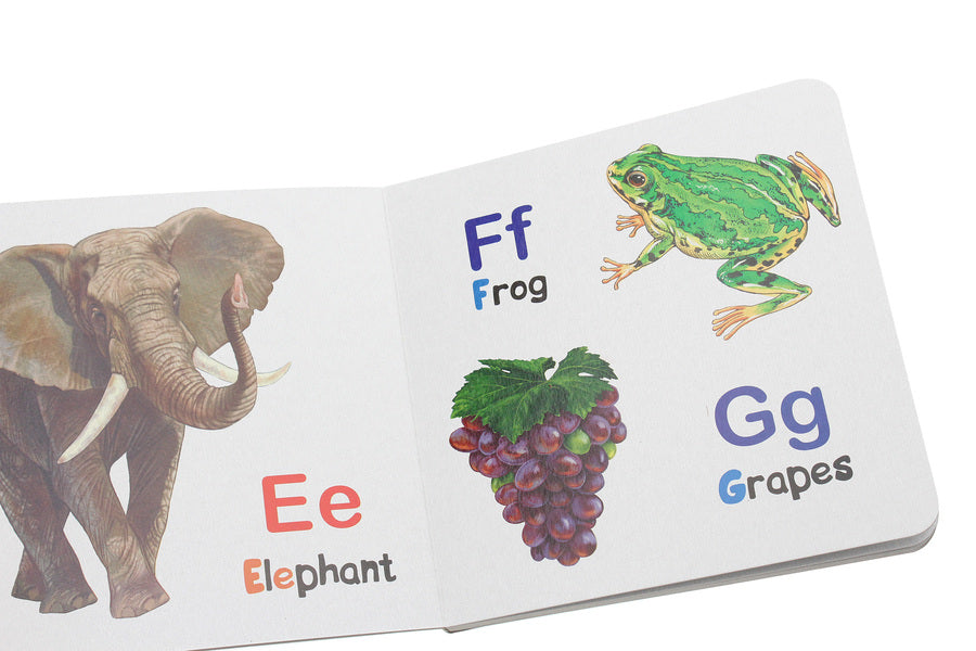 English Alphabet / English Alphabet  9789667494766-5