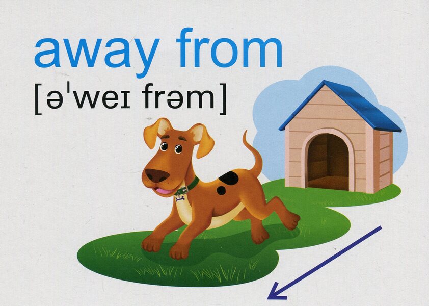 English Flashcards. Where are you? Where do you go? / English Flashcards. Where you are? Where you go? Леся Вознюк -3