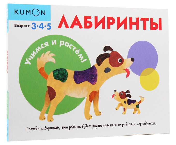 English alphabet with tasks / Англійська абетка із завданнями Ирина Пушкарь 9789667495459-4