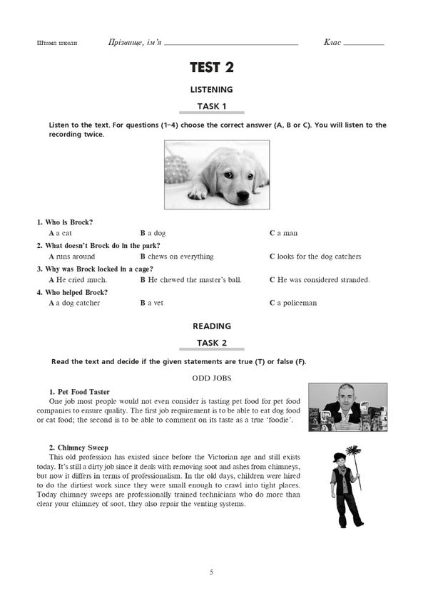 English language. 9th grade Pouch control robots for DPA 2023 / Англійська мова. 9 клас. Підсумкові контрольні роботи для ДПА 2023 Алла Андриенко 978-966-10-6906-9-4