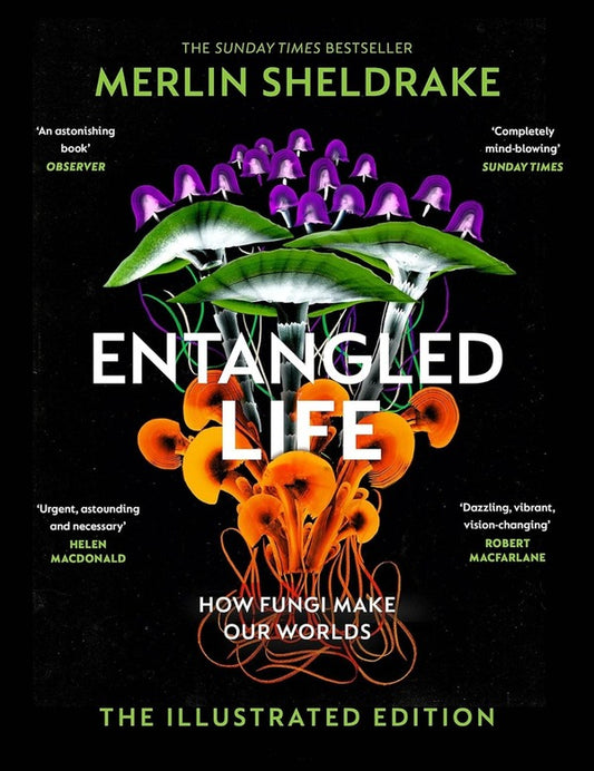 Entangled Life Merlin Sheldrake / Мерлин Шелдрейк 9781847927736-1