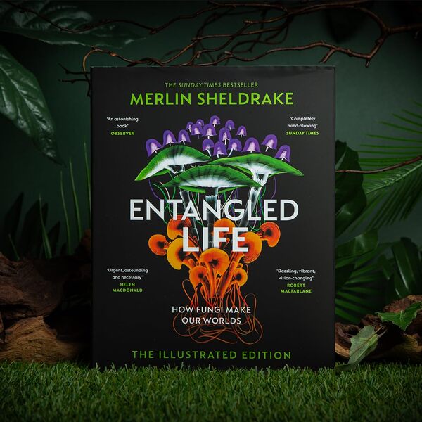 Entangled Life Merlin Sheldrake / Мерлин Шелдрейк 9781847927736-2