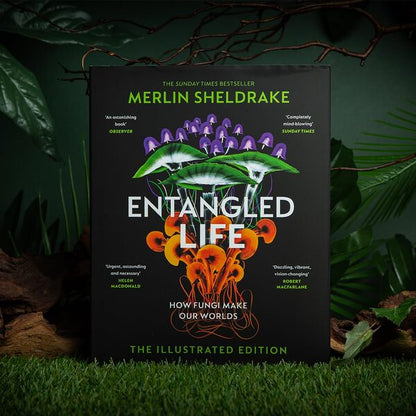 Entangled Life Merlin Sheldrake / Мерлин Шелдрейк 9781847927736-2