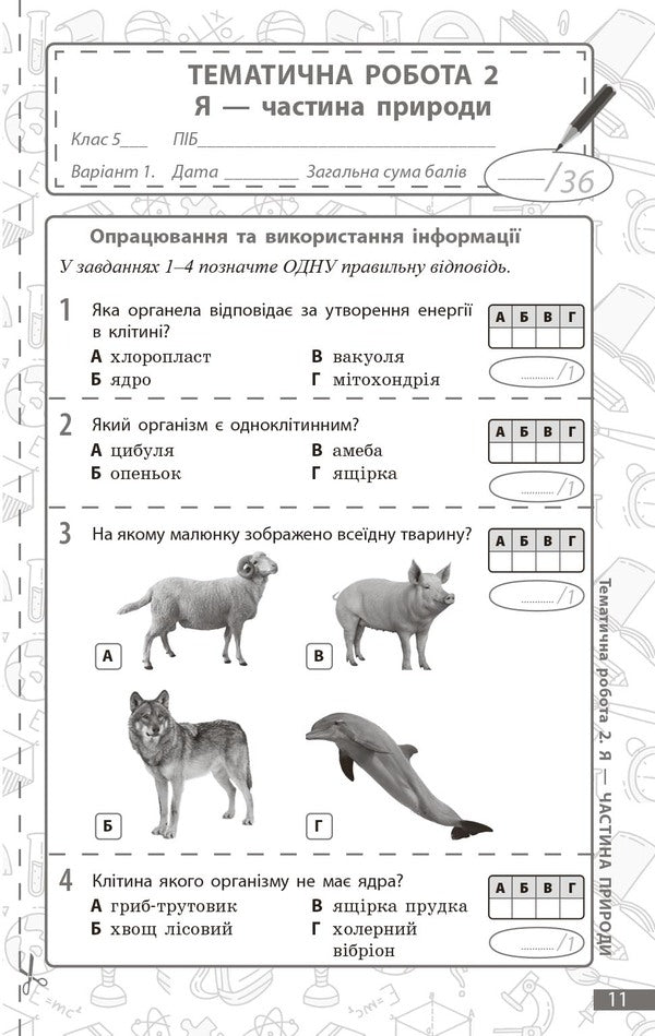 Environment. Grade 5. Current And Final Evaluation + Diagnostic Works / Довкілля. 5 клас. Поточне та підсумкове оцінювання + діагностувальні роботи K. Kot / К. Кіт 9786170998255-5