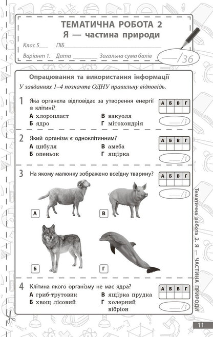 Environment. Grade 5. Current And Final Evaluation + Diagnostic Works / Довкілля. 5 клас. Поточне та підсумкове оцінювання + діагностувальні роботи K. Kot / К. Кіт 9786170998255-5