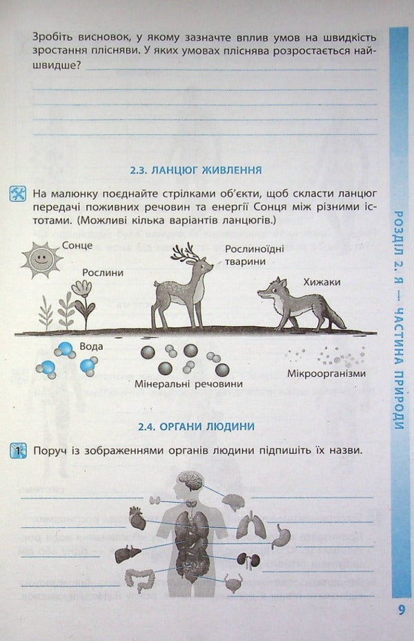 Environment 5th grade A workbook / Довкілля. 5 клас. Робочий зошит Алексей Григорович 978-617-09-7976-6-3