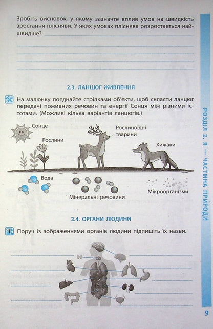 Environment 5th grade A workbook / Довкілля. 5 клас. Робочий зошит Алексей Григорович 978-617-09-7976-6-3