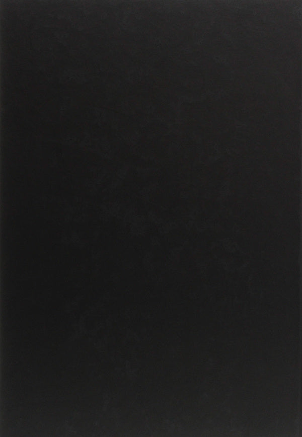 Essay on the history of the OUN 1920-1939 / Нарис історії ОУН 1920-1939 Петр Мирчук -2