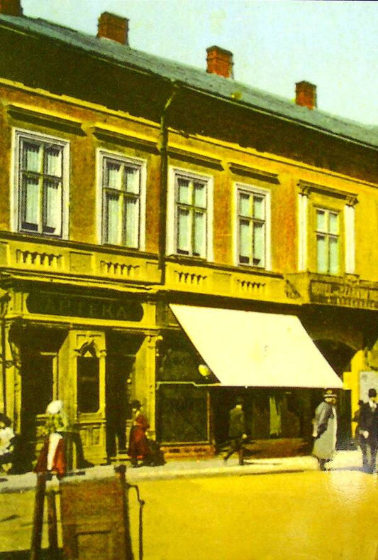 Essay on the history of the city of Stanislavov / Нарис історії міста Станиславова Юзеф Зелинский 978-966-668-535-6-2