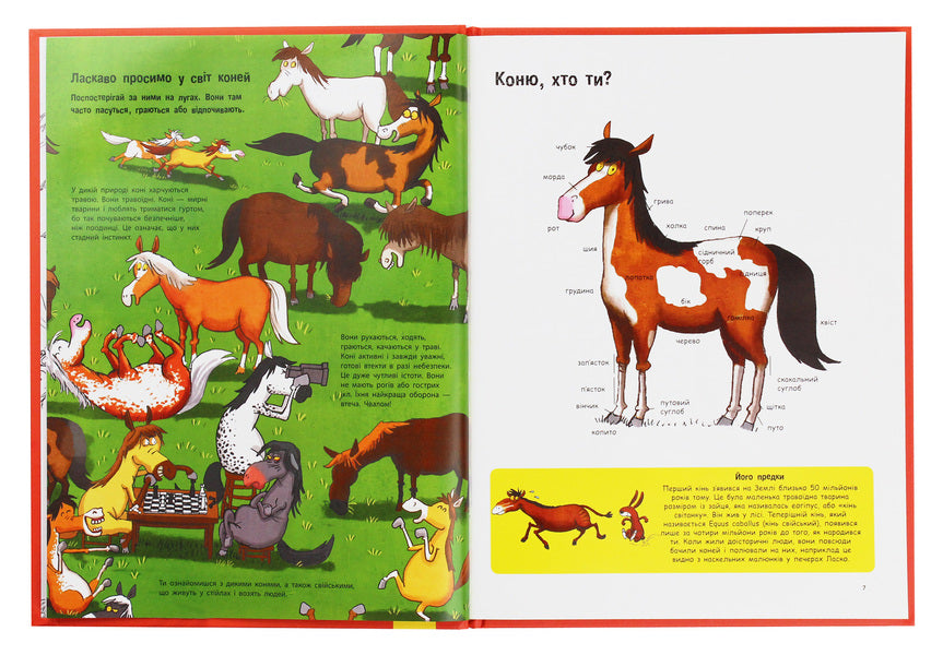 Everything About Horses  And Not Only - Усе про коней   не тльки Grgoire Mabir, Antoinette Delille - Грегуар Мабр, Антуанетта Деллль 9786170959676-4