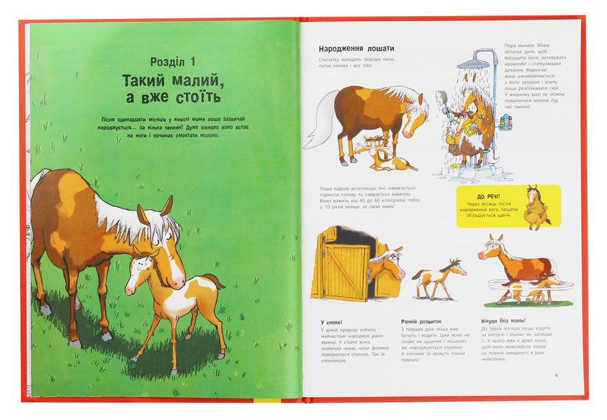 Everything About Horses  And Not Only - Усе про коней   не тльки Grgoire Mabir, Antoinette Delille - Грегуар Мабр, Антуанетта Деллль 9786170959676-5