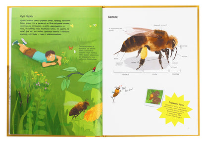 Everything about bees... and not only / Усе про бджіл... і не тільки Джек Гишар, Кароль Ксенар 978-617-09-5966-9-4