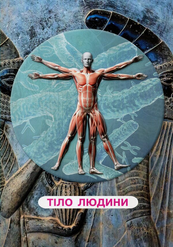 Everything about the human body. 1000 interesting facts / Усе про тіло людини. 1000 цікавих фактів Алина Котка 978-966-936-836-2-5