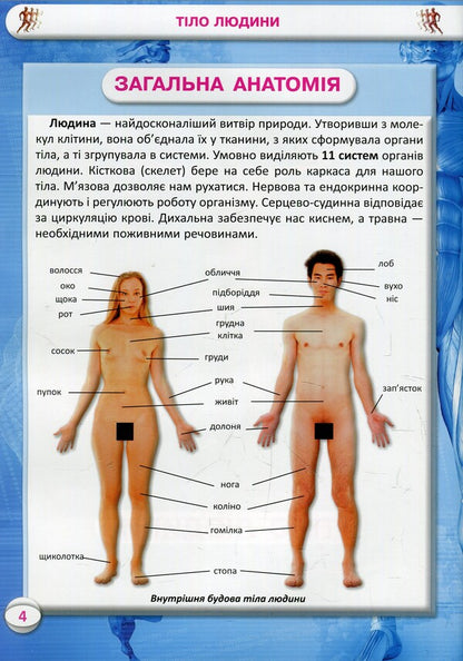 Everything about the human body. 1000 interesting facts / Усе про тіло людини. 1000 цікавих фактів Алина Котка 978-966-936-836-2-6