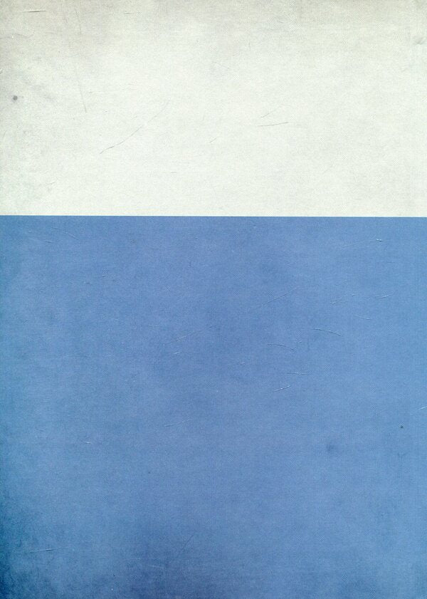 Evolution of the welfare state in Western Europe. Historical and theoretical aspects / Еволюція соціальної держави в Західній Європі. Історико-теоретичні  аспекти Денис Севрюков 978-617-7133-49-9-2