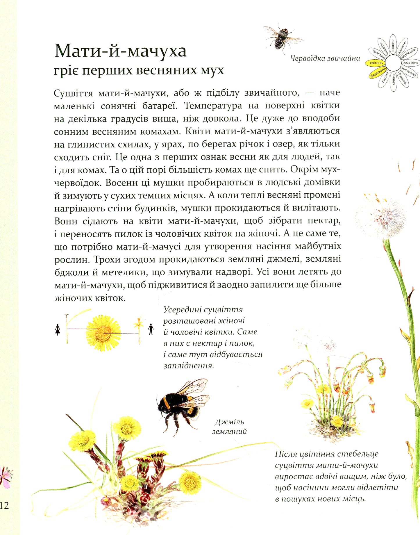 Expedition With Sophie The Ant / Експедиція з мурахою Софі Stefan Casta / Стефан Каста 9789669152572-14
