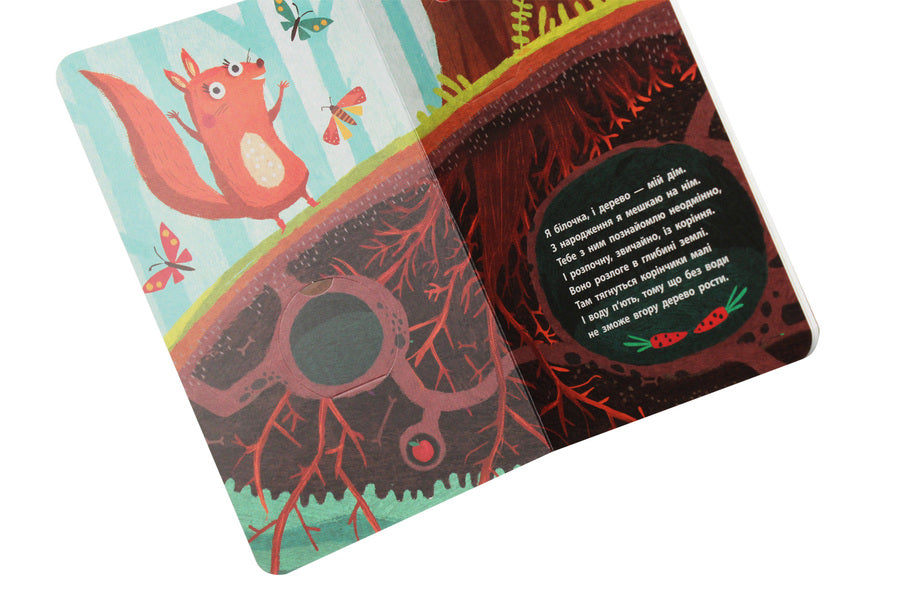 Explore!Higher and higher and higher in the tree / Досліджуй! Вище і вище і вище на дереві Иван Андрусяк 9786170961365-4