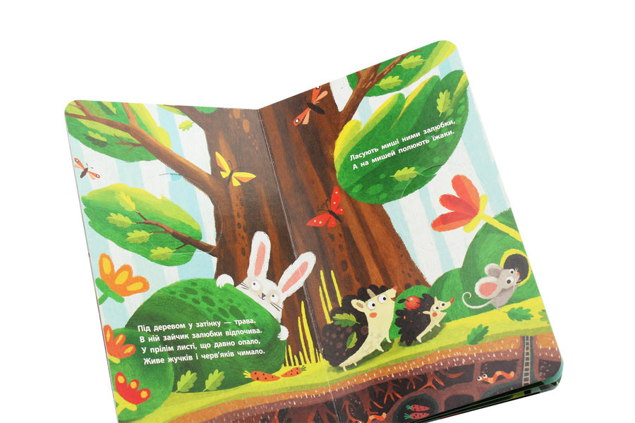 Explore!Higher and higher and higher in the tree / Досліджуй! Вище і вище і вище на дереві Иван Андрусяк 9786170961365-5