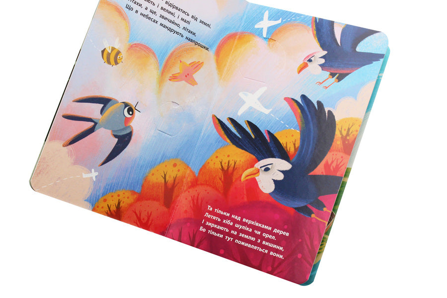 Explore!Higher and higher and higher into the sky / Досліджуй! Вище і вище і вище у небо Иван Андрусяк 9786170961327-5