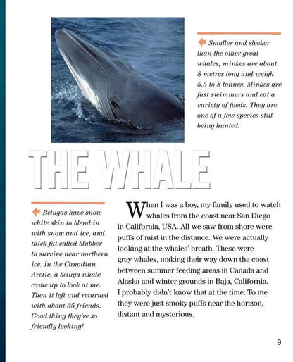 Face to Face with Whales. Level 5 / Face to Face with Whales. Level 5 Флип Никлин, Линда Никлин 9780008358082-3